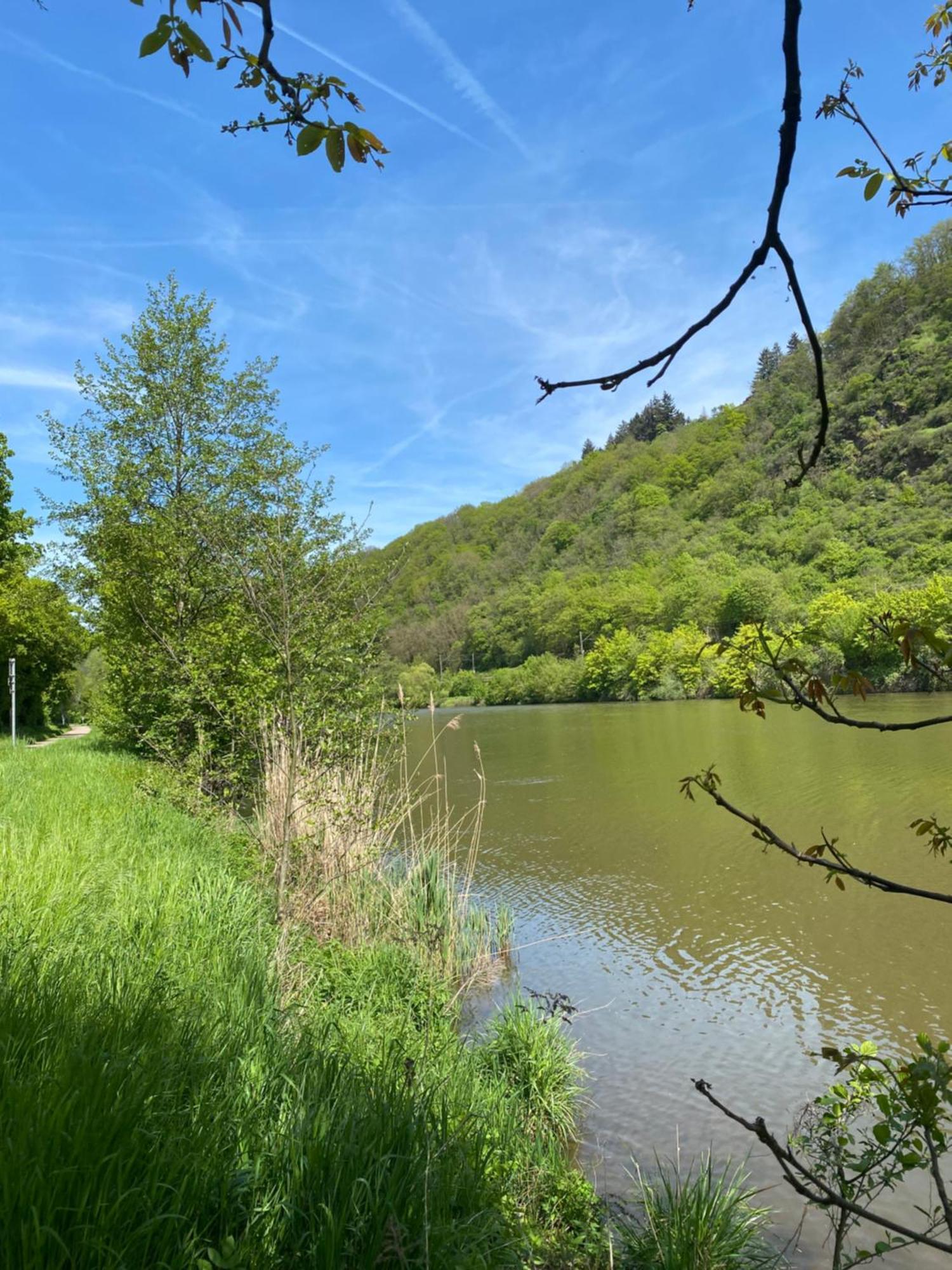 An Der Saar *