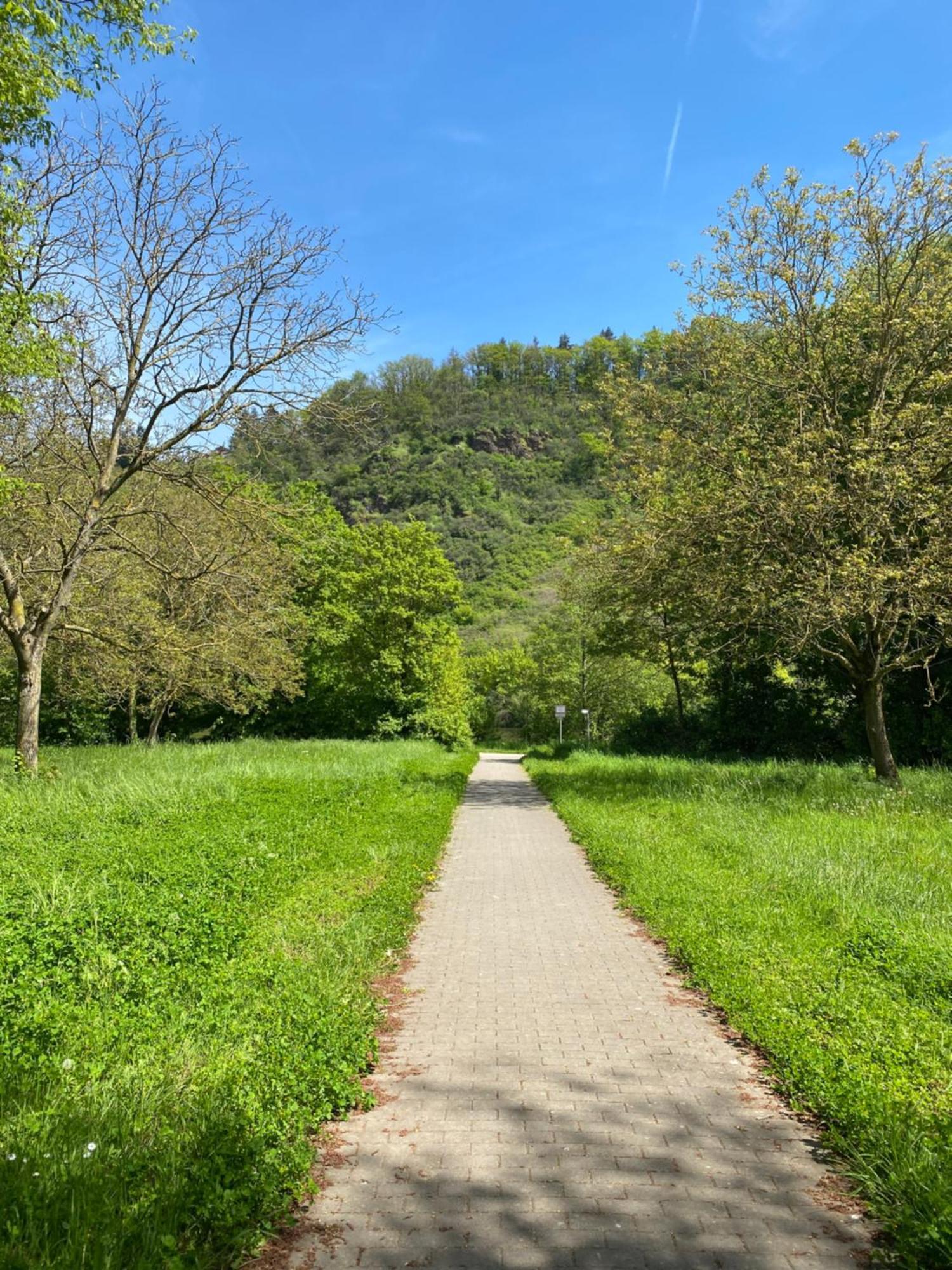 An Der Saar *
